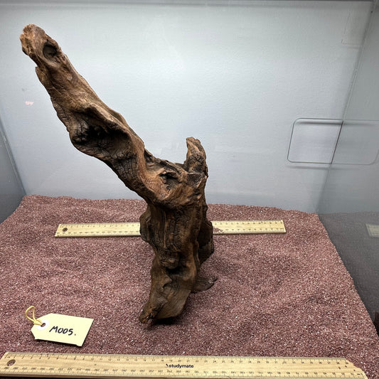 Driftwood (Medium)