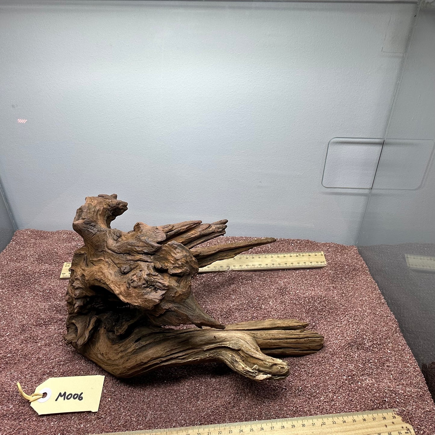 Driftwood (Medium)