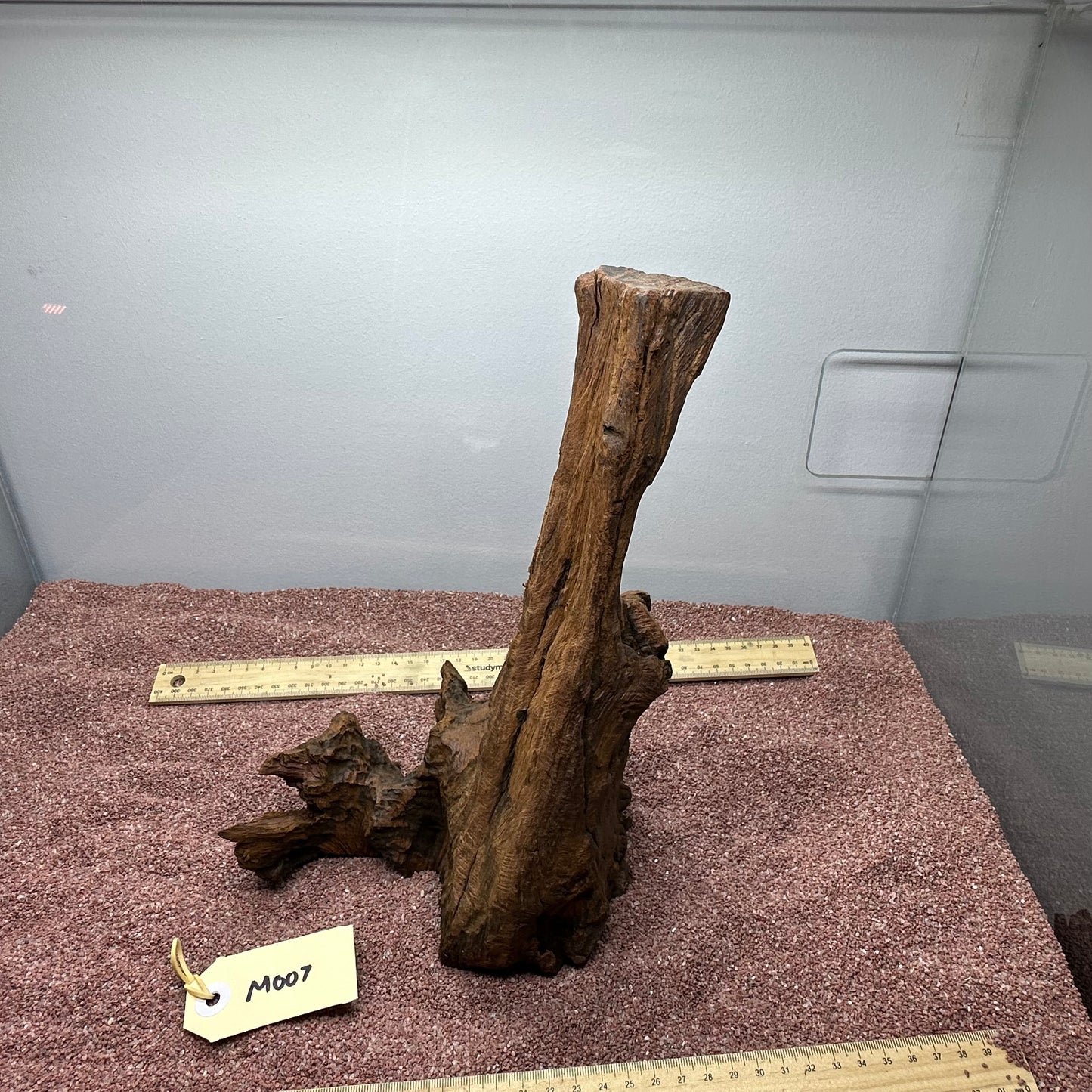 Driftwood (Medium)
