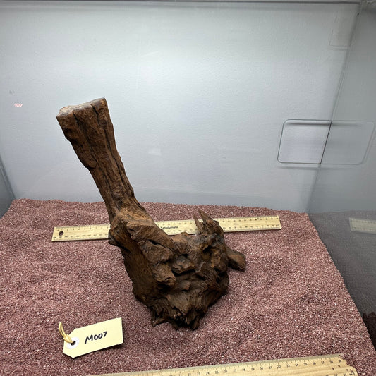 Driftwood (Medium)