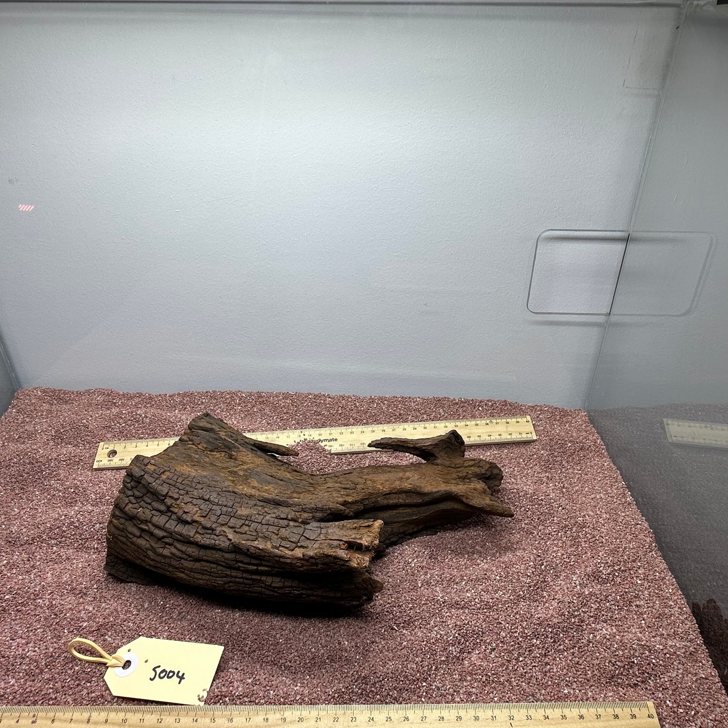 Driftwood (Small)