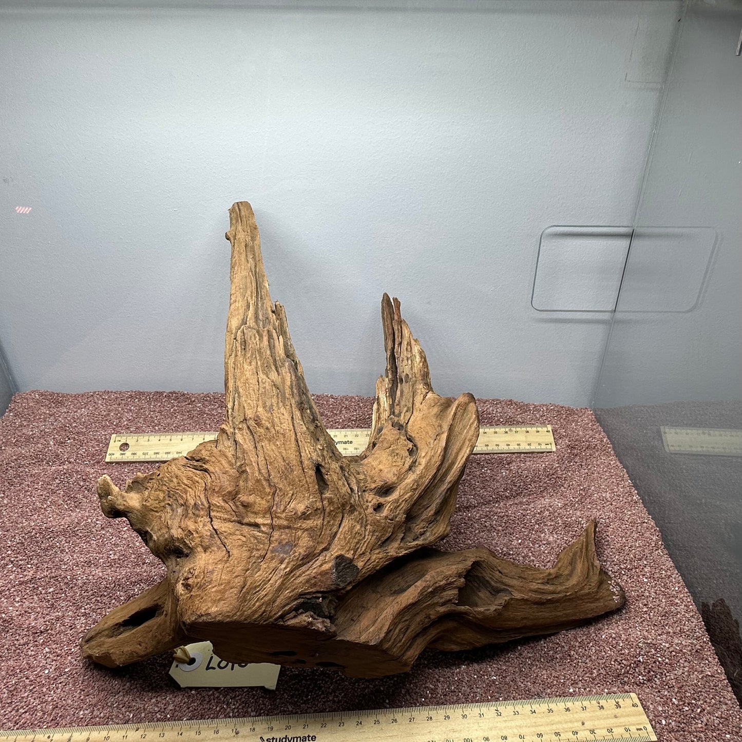 Driftwood (Large)