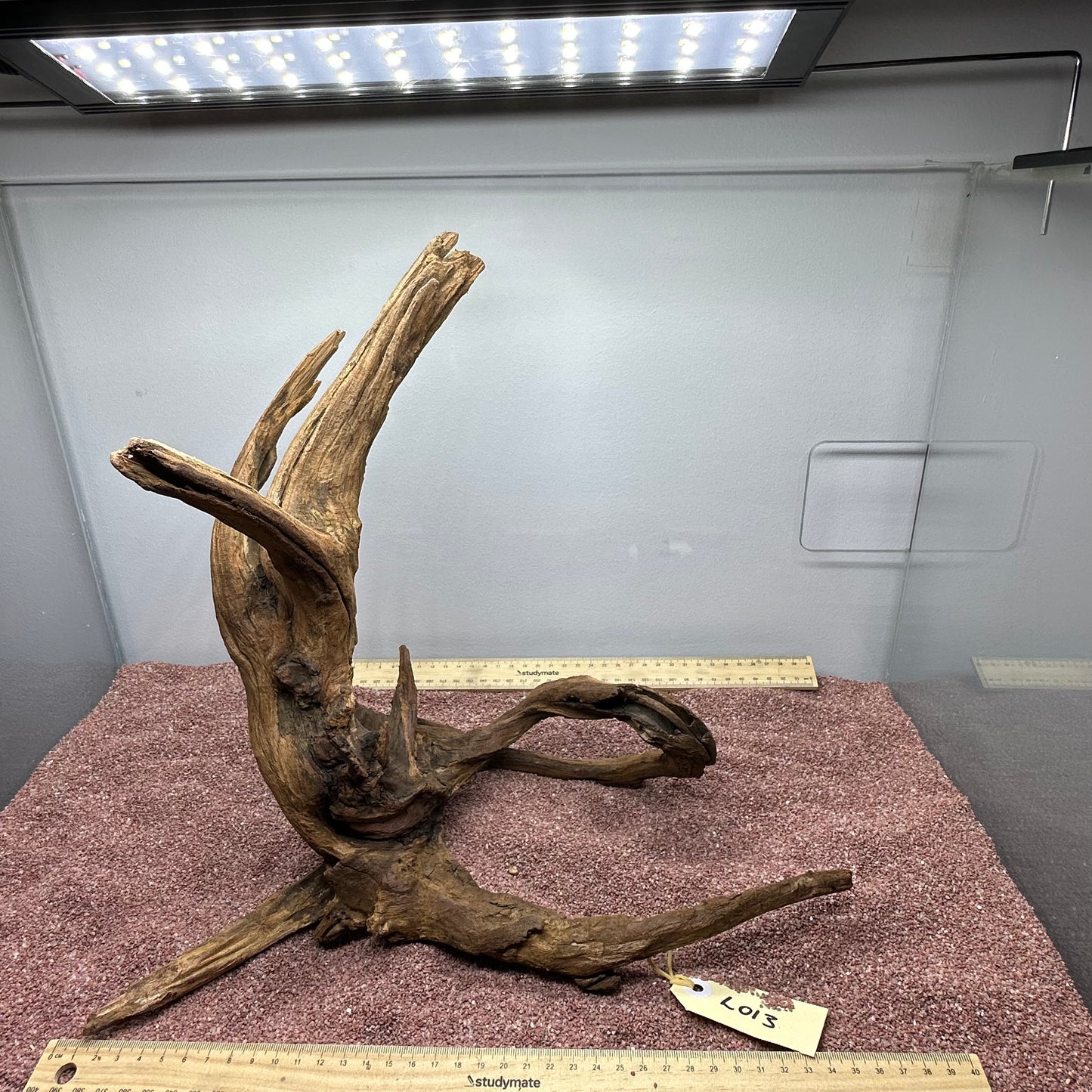 Driftwood (Large)