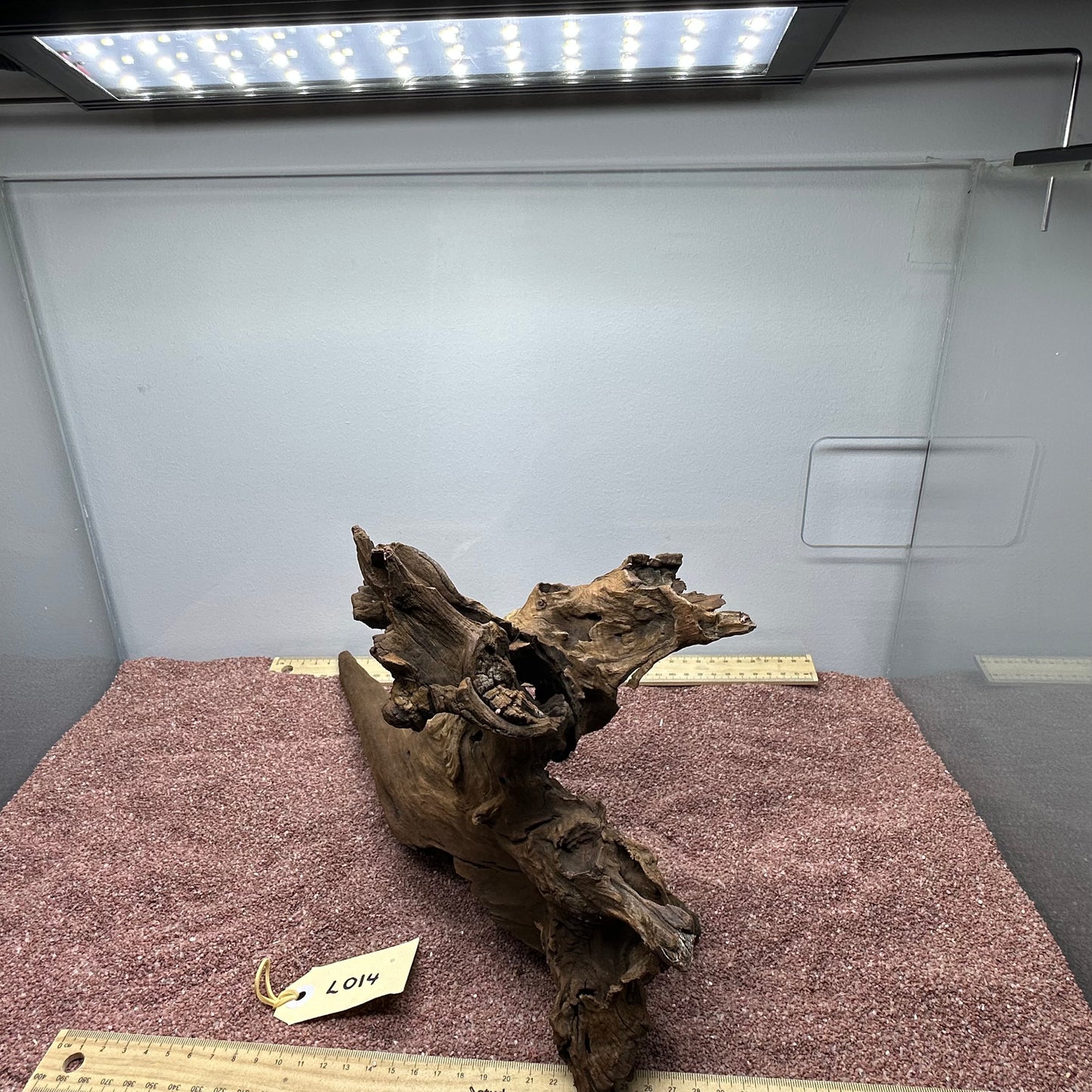 Driftwood (Large)