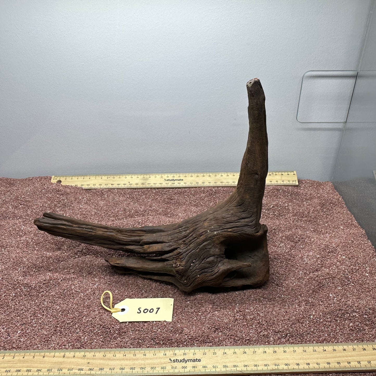 Driftwood (Small)