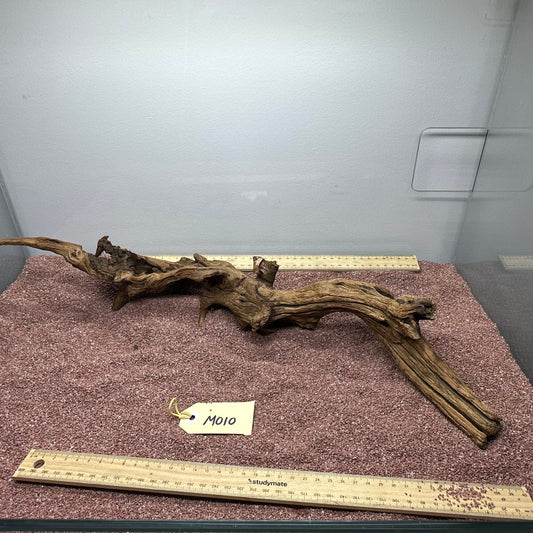 Driftwood (Medium)
