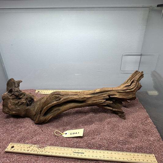 Driftwood (Large)