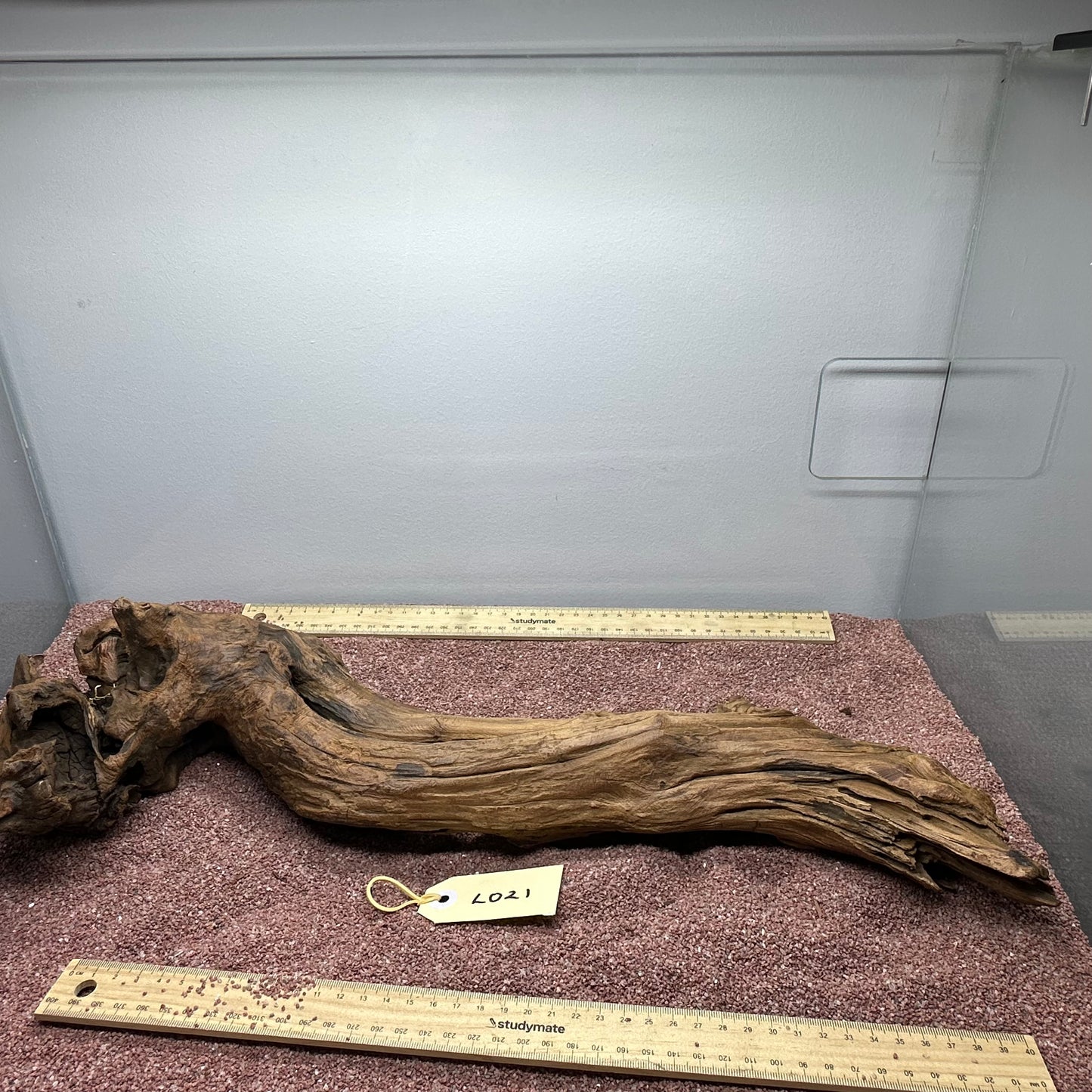 Driftwood (Large)