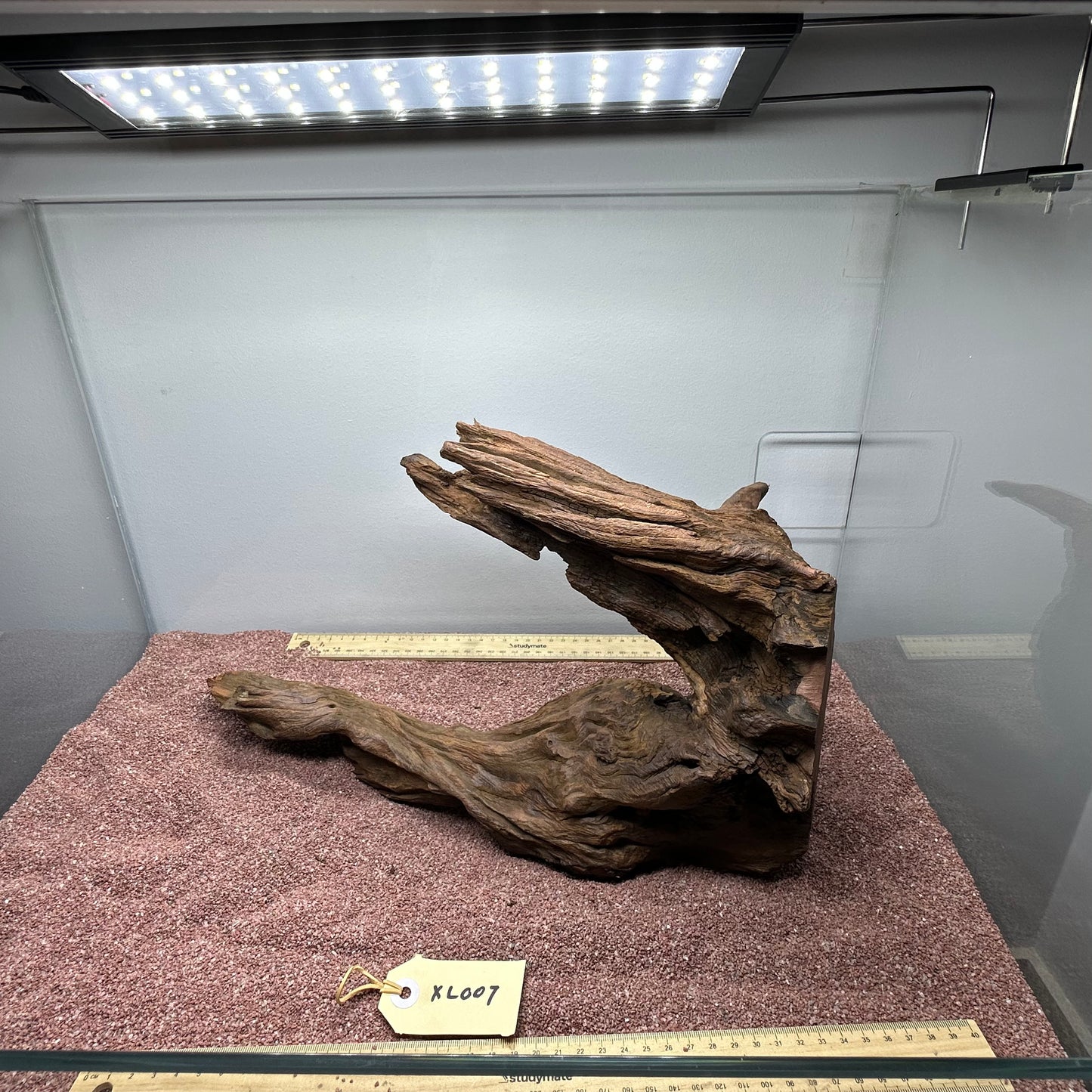 Driftwood (X Large)