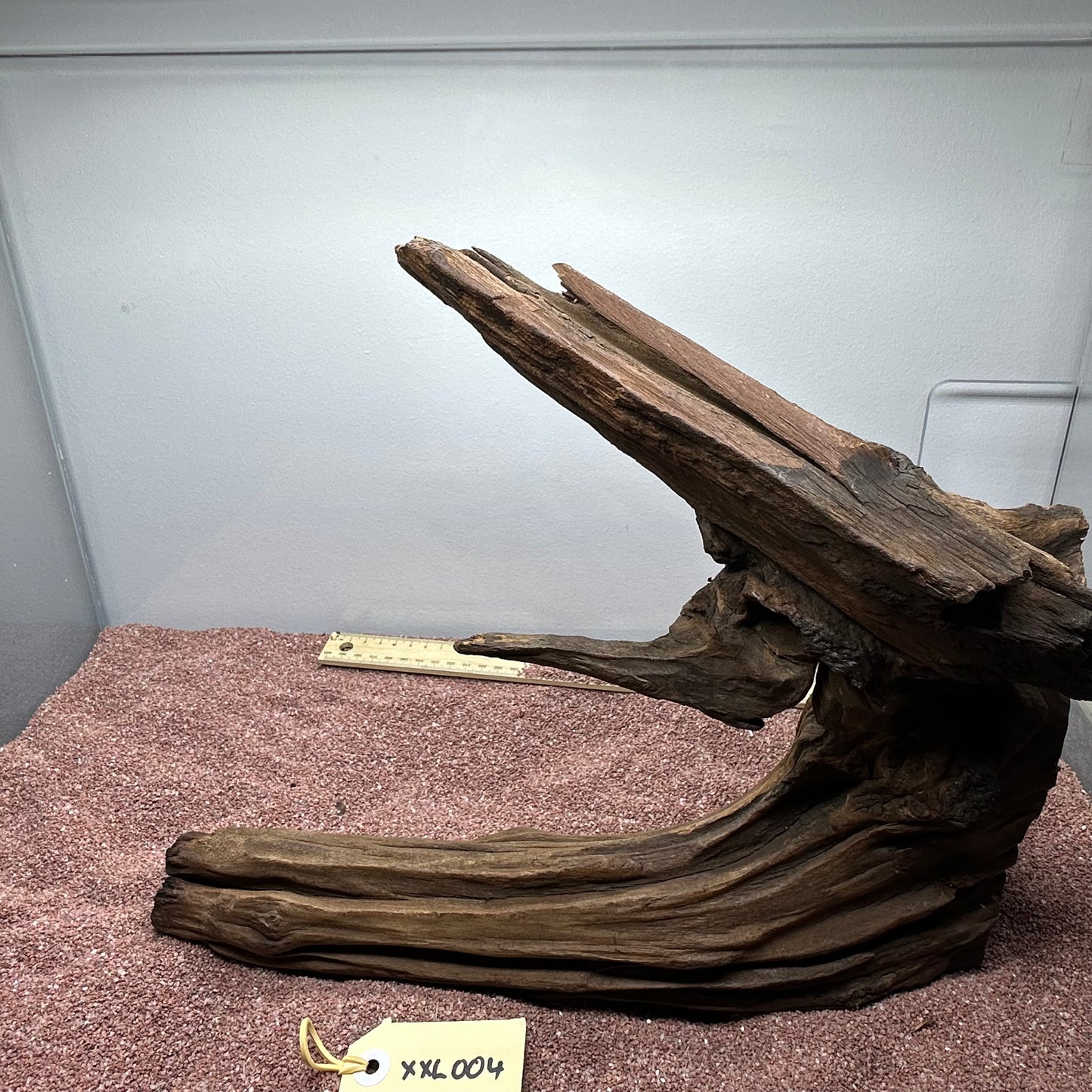 Driftwood (XX Large)