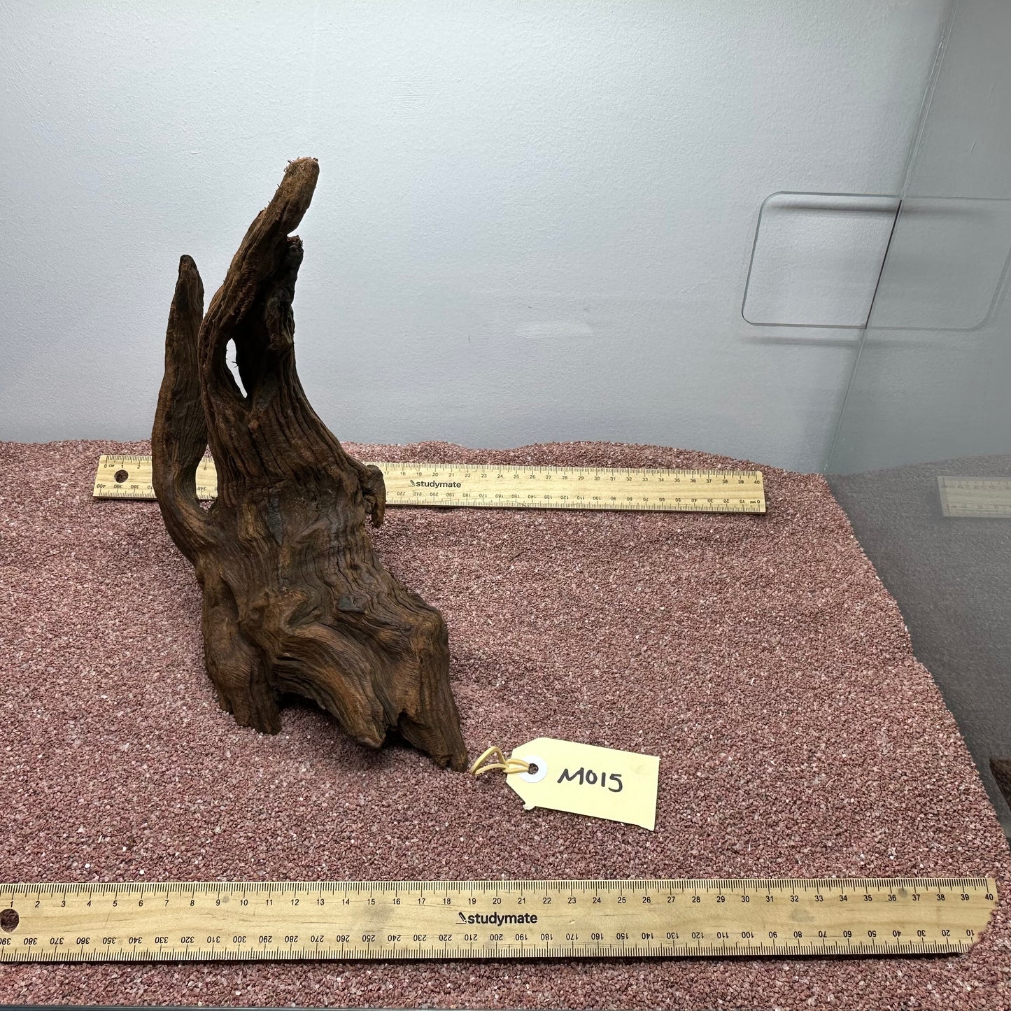 Driftwood (Medium)