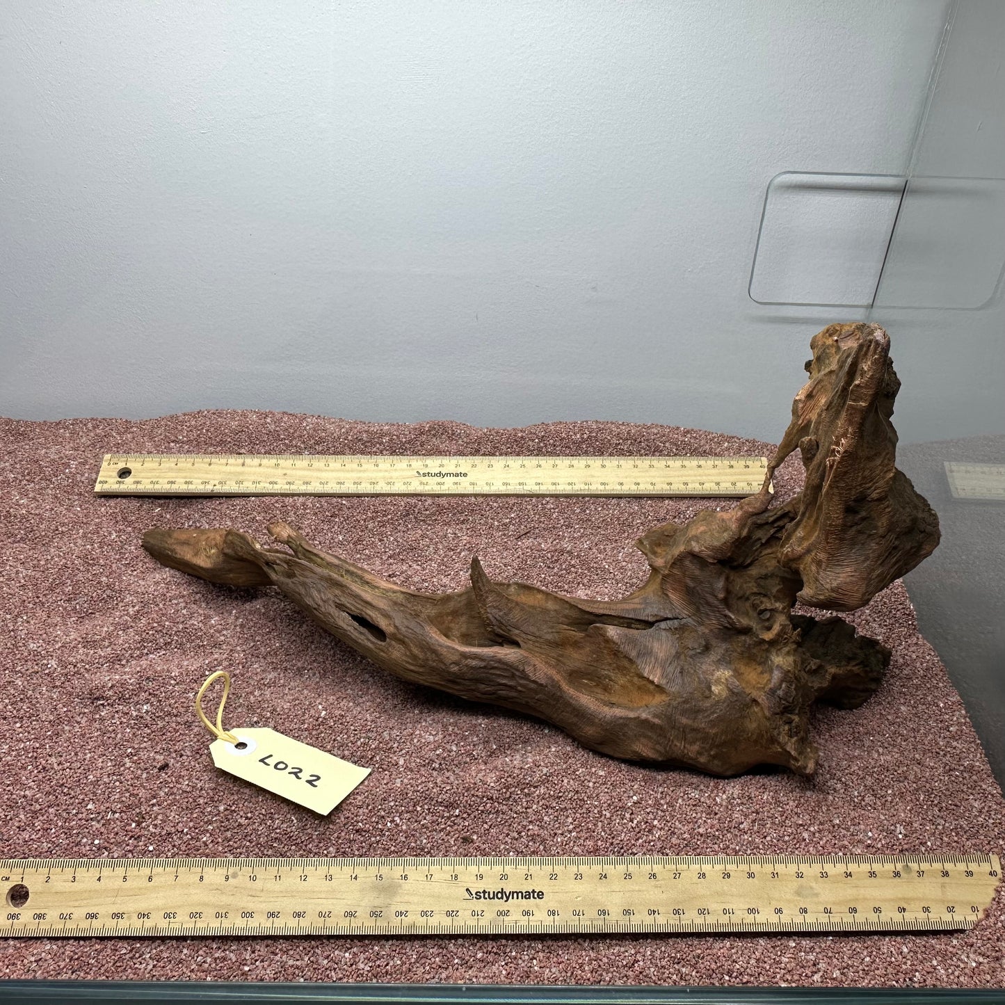 Driftwood (Large)