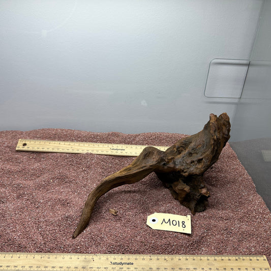 Driftwood (Medium)