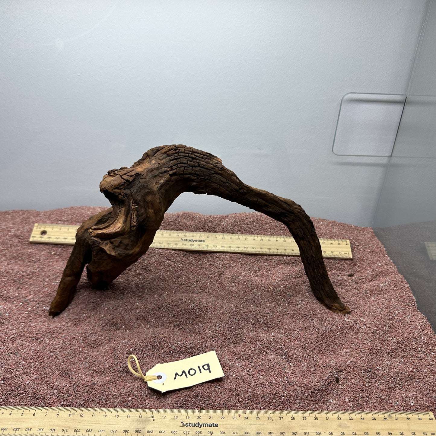 Driftwood (Medium)