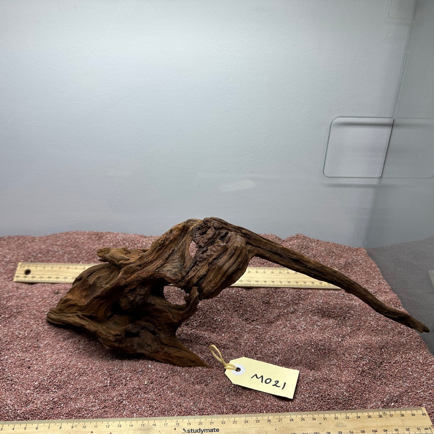 Driftwood (Medium)