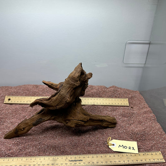 Driftwood (Medium)