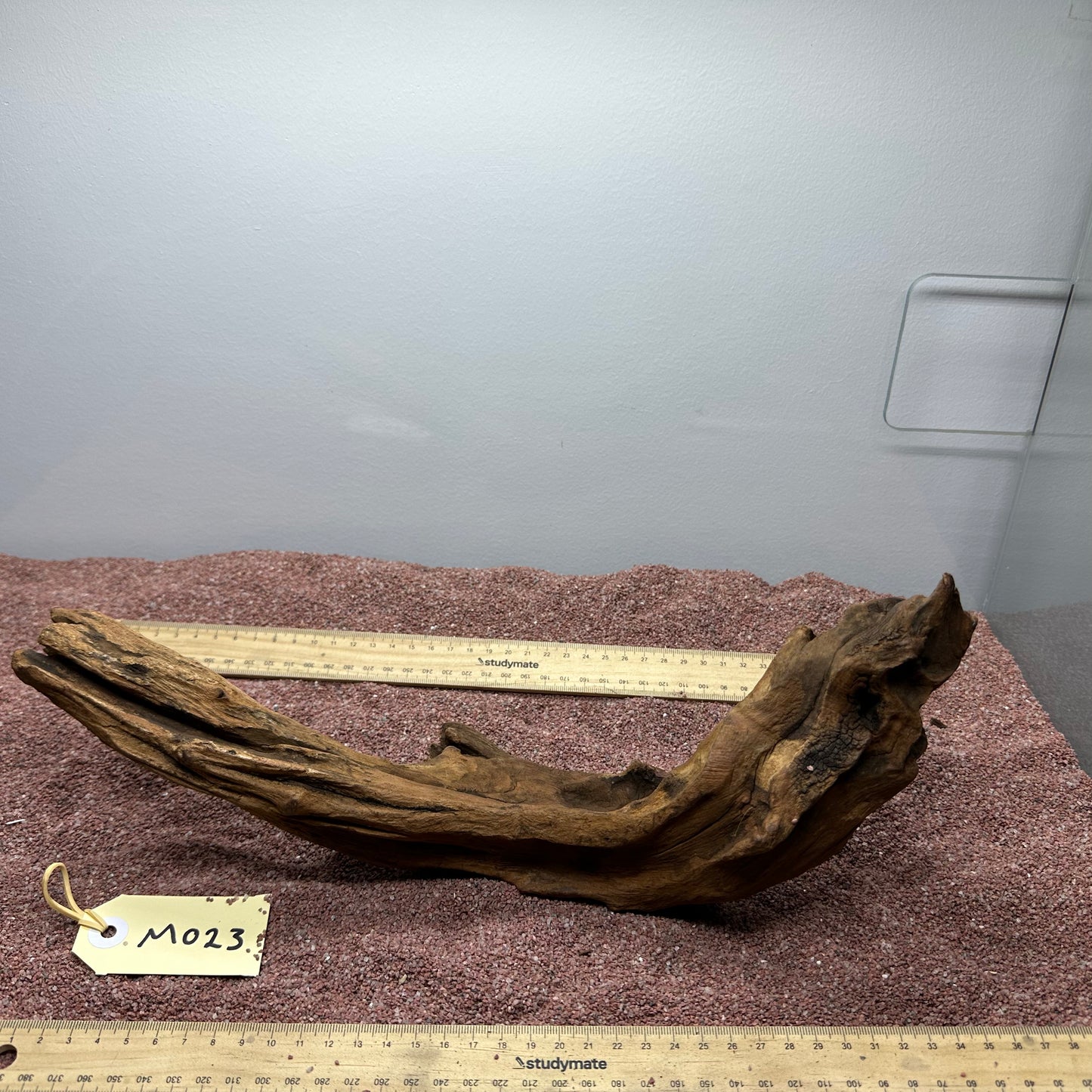 Driftwood (Medium)