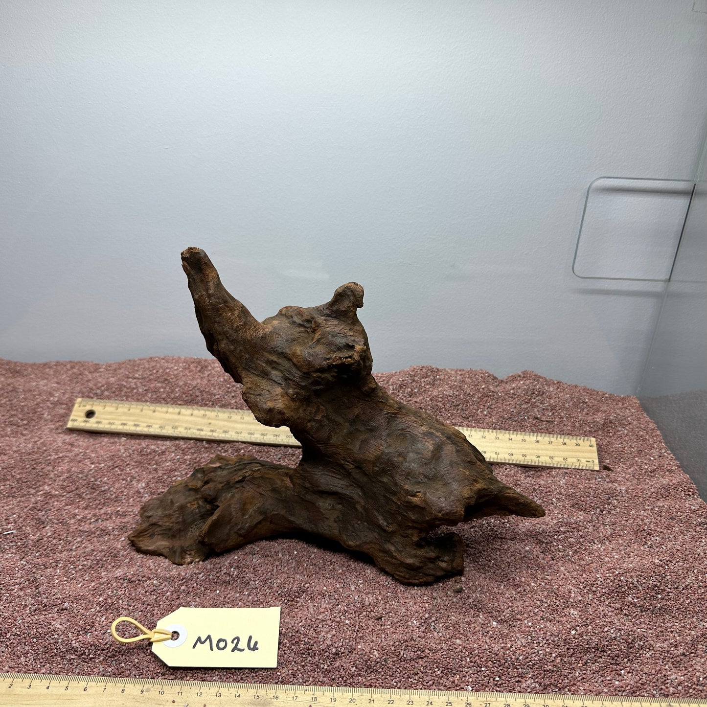Driftwood (Medium)