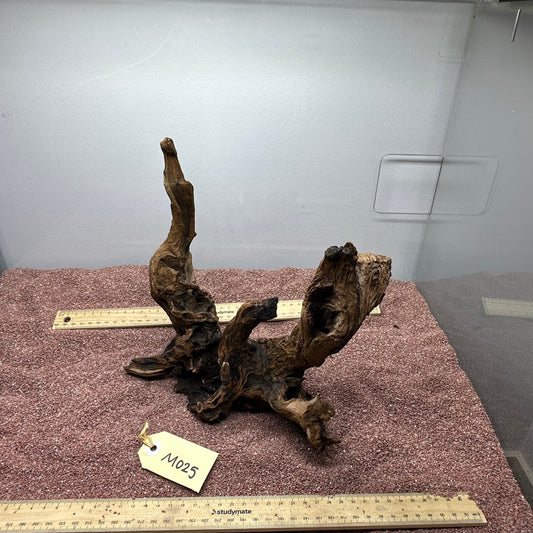 Driftwood (Medium)