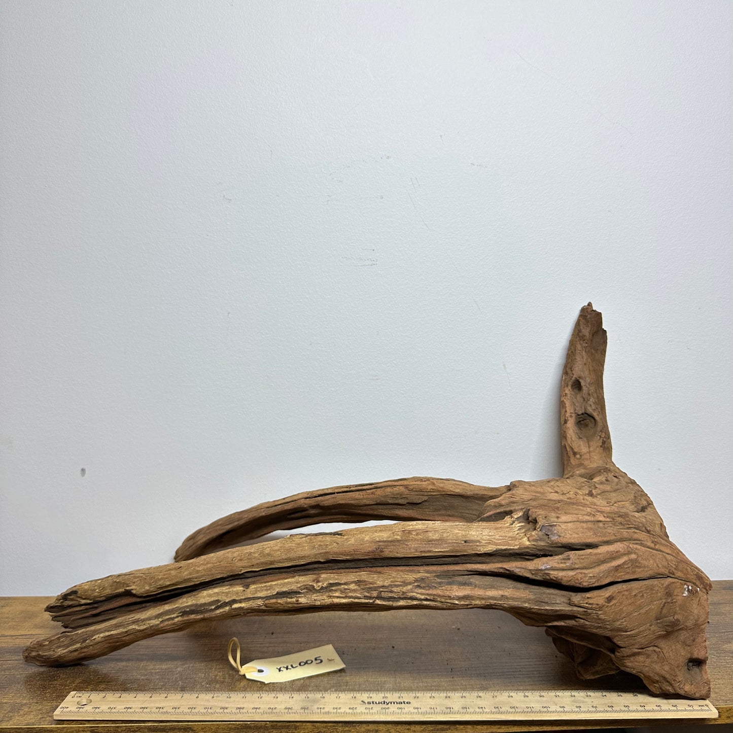 Driftwood (XX Large)