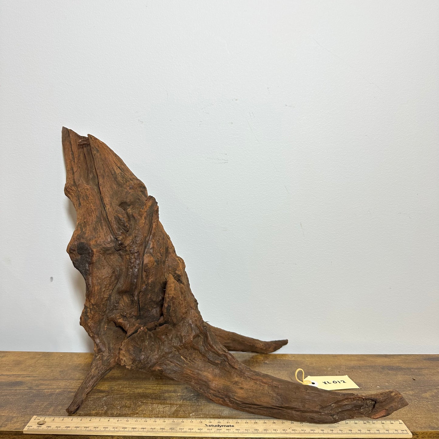 Driftwood (X Large)