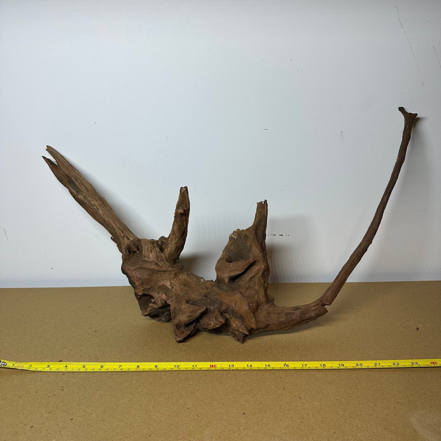Driftwood (Oversized)