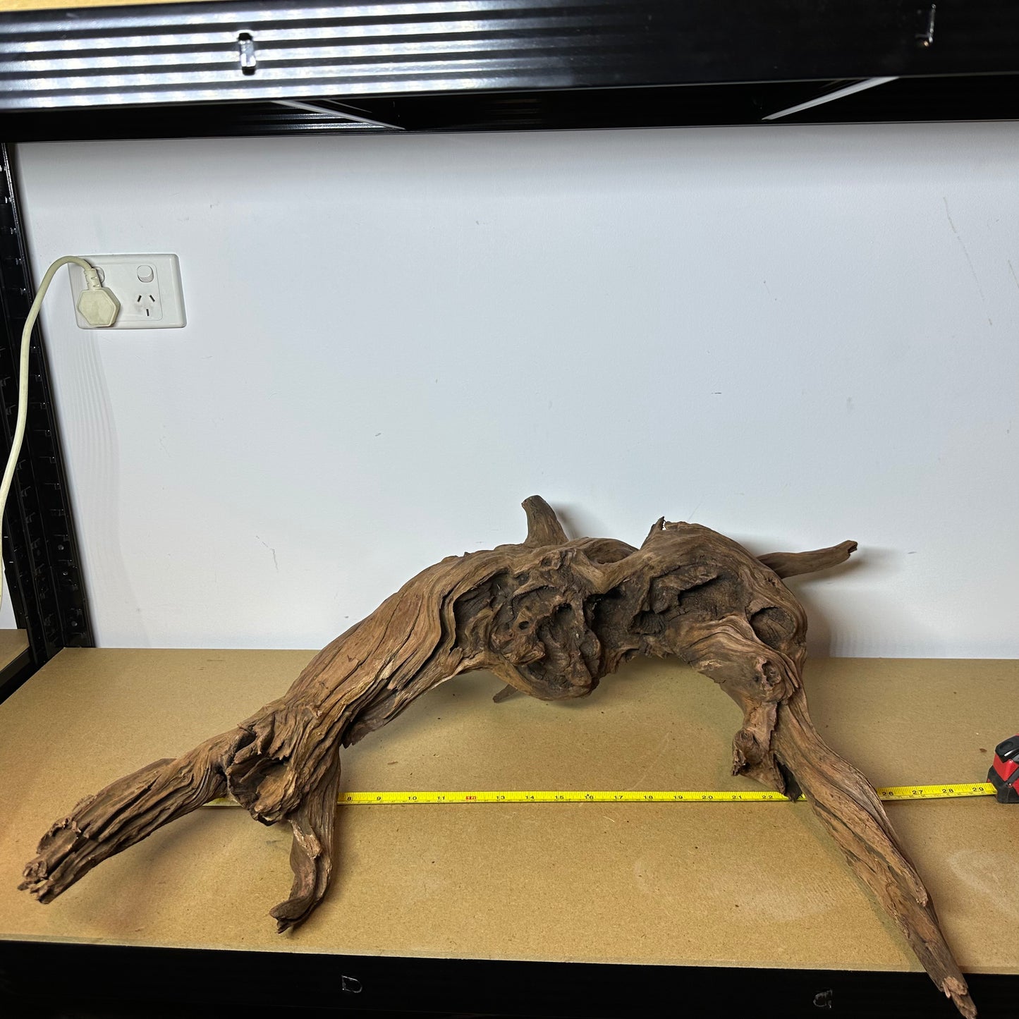 Driftwood (Oversized)