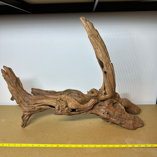 Driftwood (Oversized)