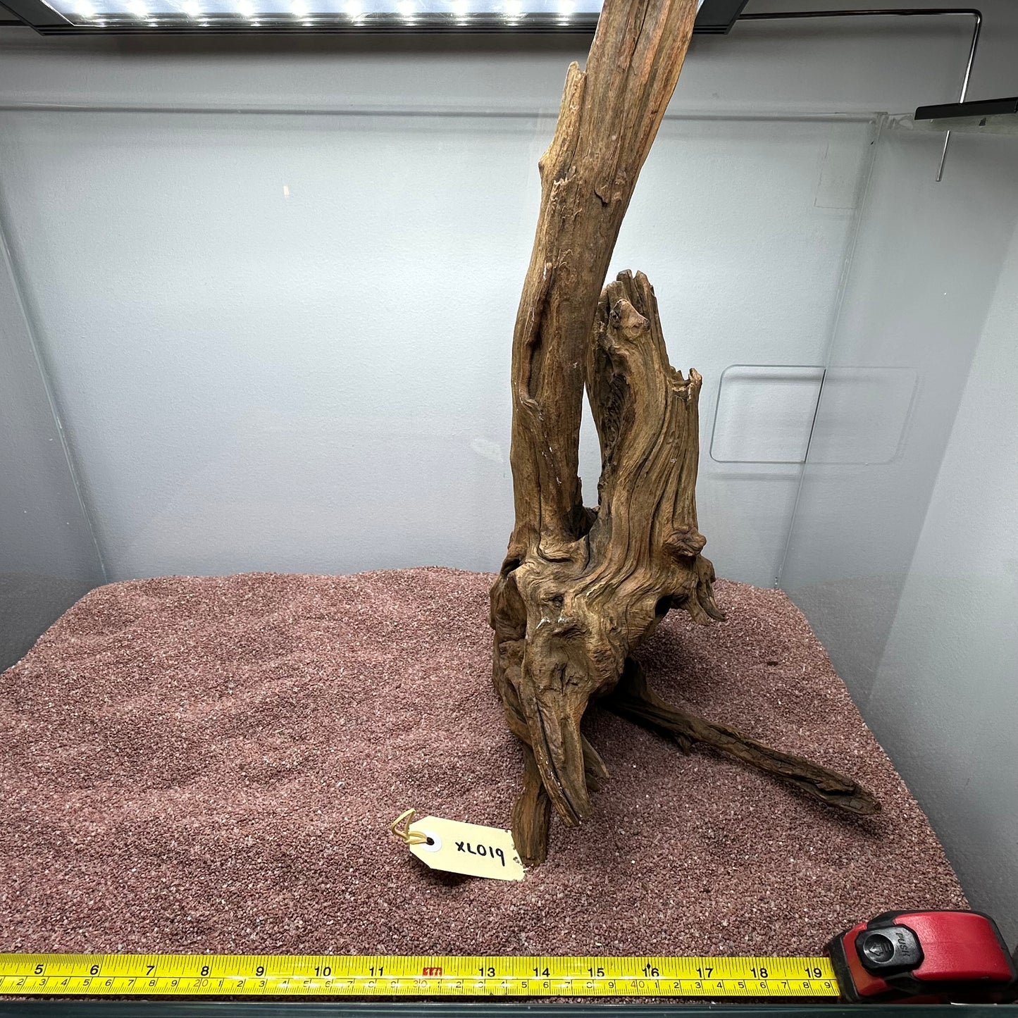 Driftwood (X Large)