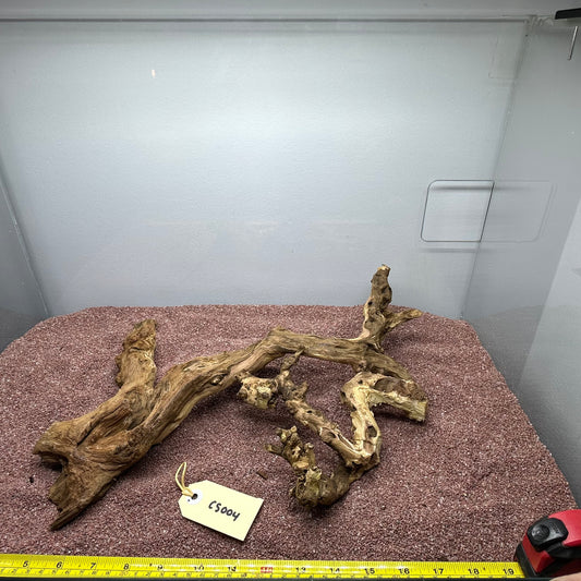 Coral Wood (Small)
