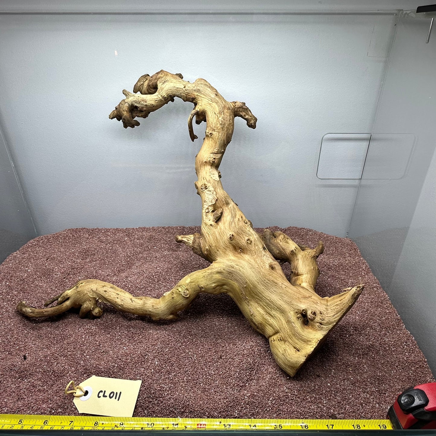 Coral Wood (Large)