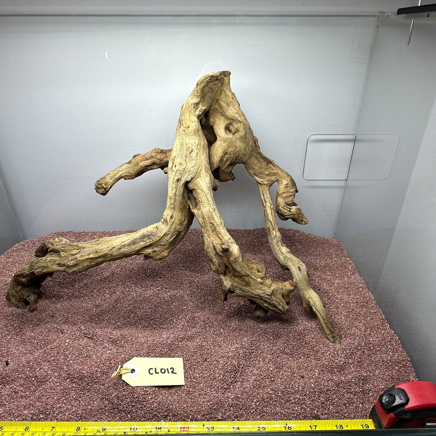 Coral Wood (Large)