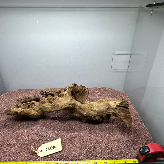 Coral Wood (Large)