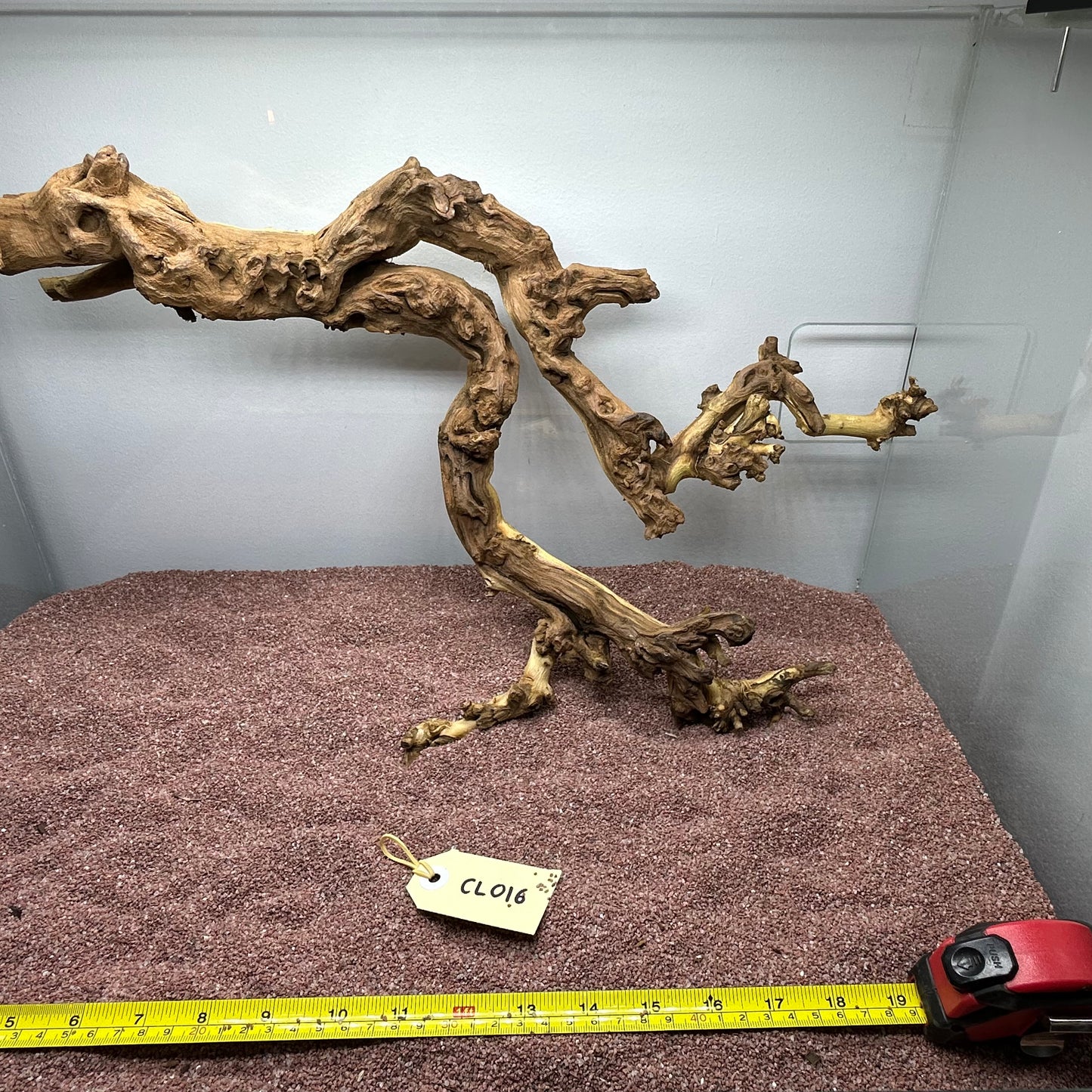 Coral Wood (Large)