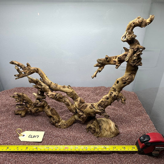 Coral Wood (Large)