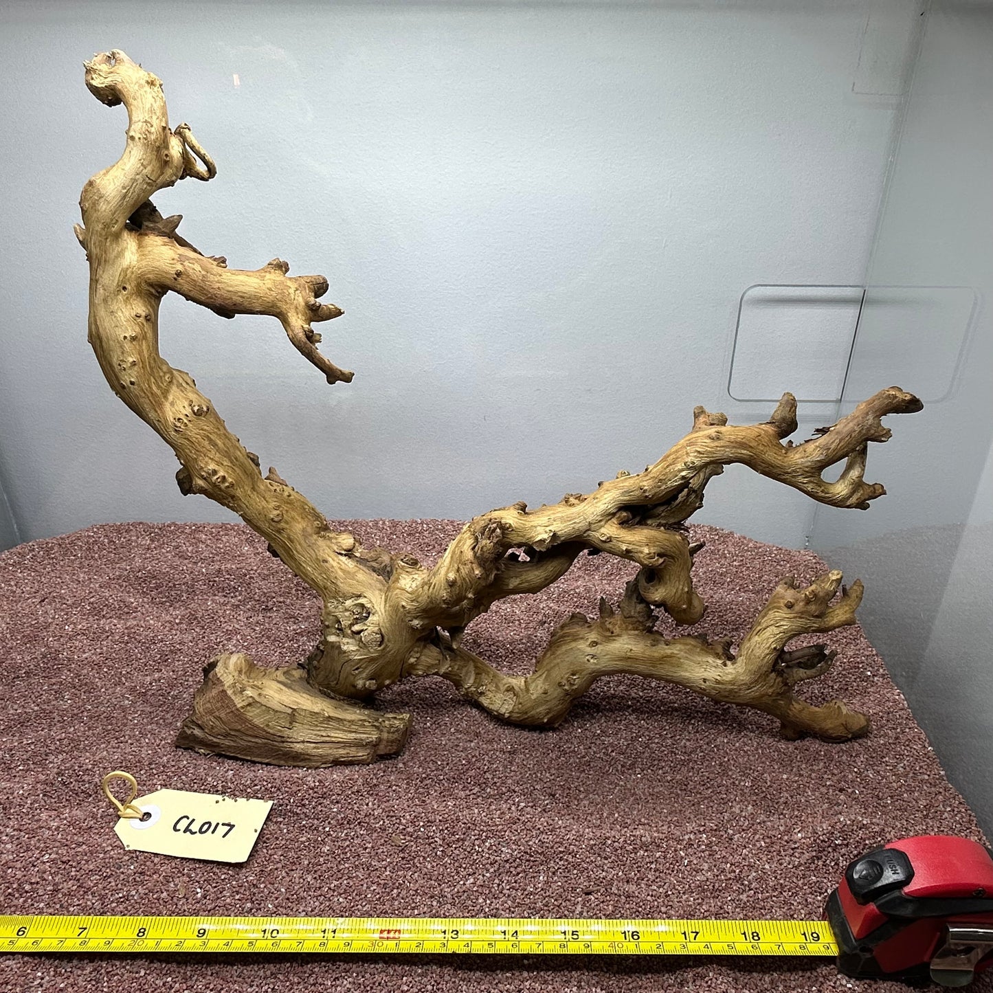 Coral Wood (Large)