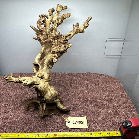 Coral Wood (Medium)