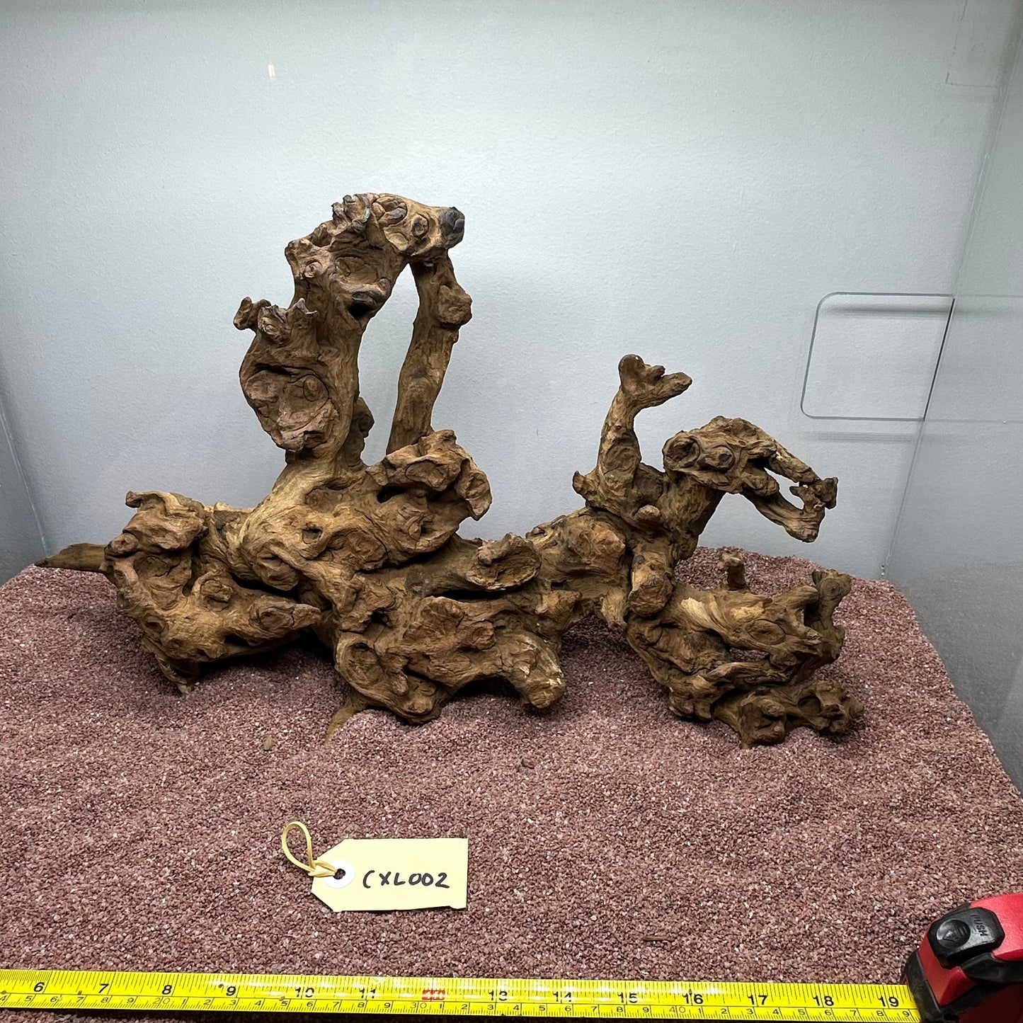 Coral Wood (X Large)