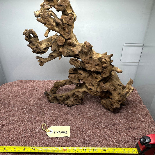 Coral Wood (X Large)