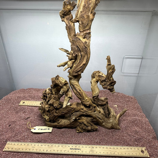 Coral Wood (X Large)