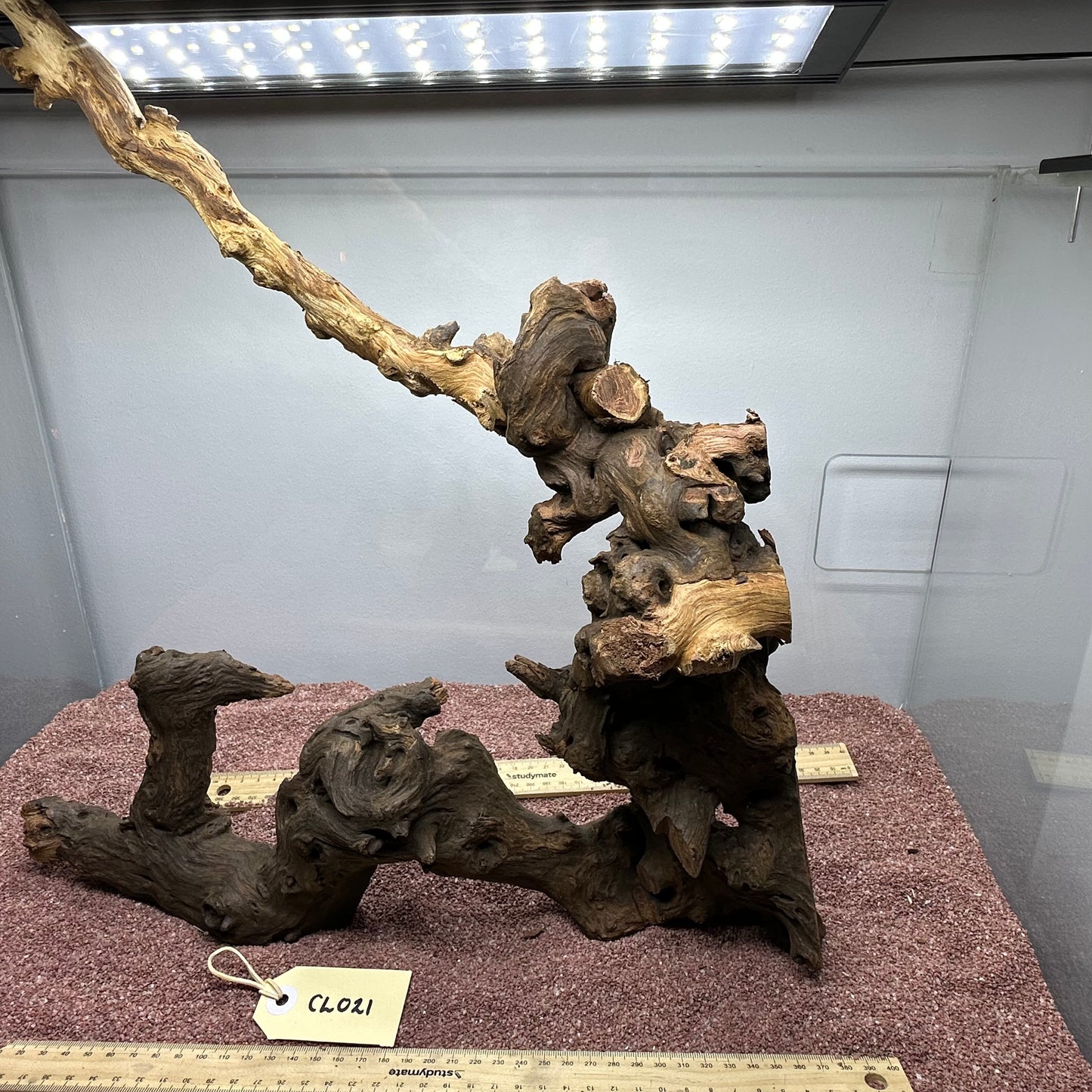 Coral Wood (Large)