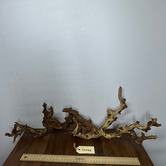 Coral Wood (Large)