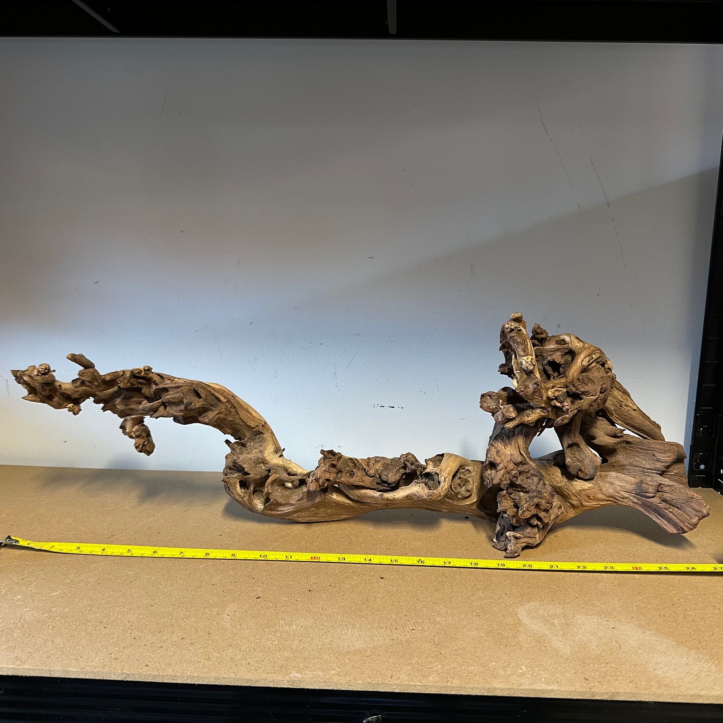 Coral Wood (XX Large)
