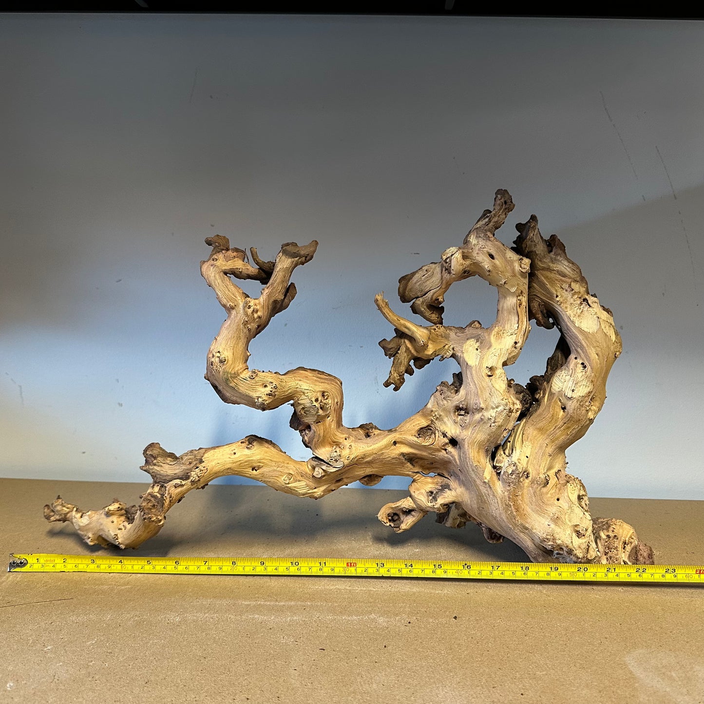 Coral Wood (XX Large)