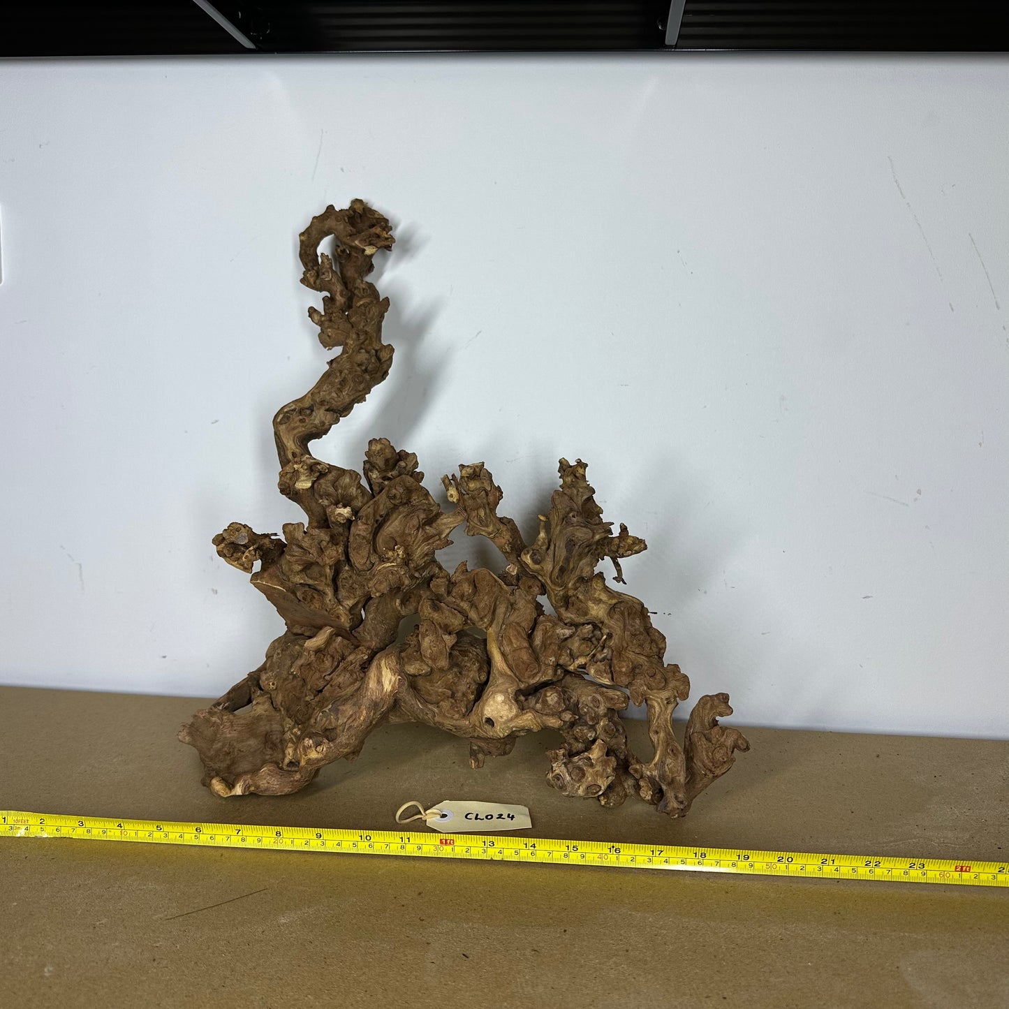 Coral Wood (Large)