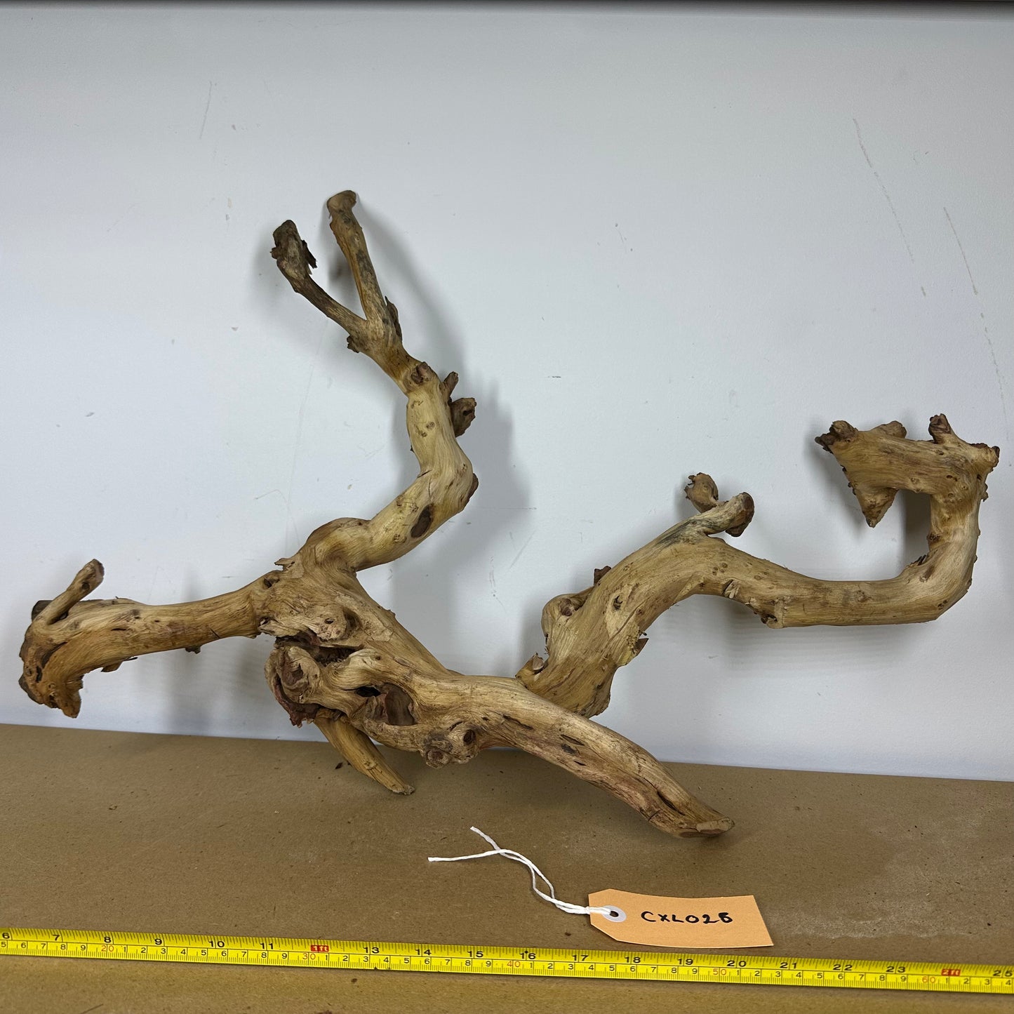 Coral Wood (X Large)