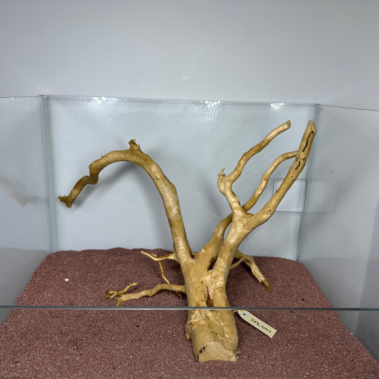 Spiderwood (Large)