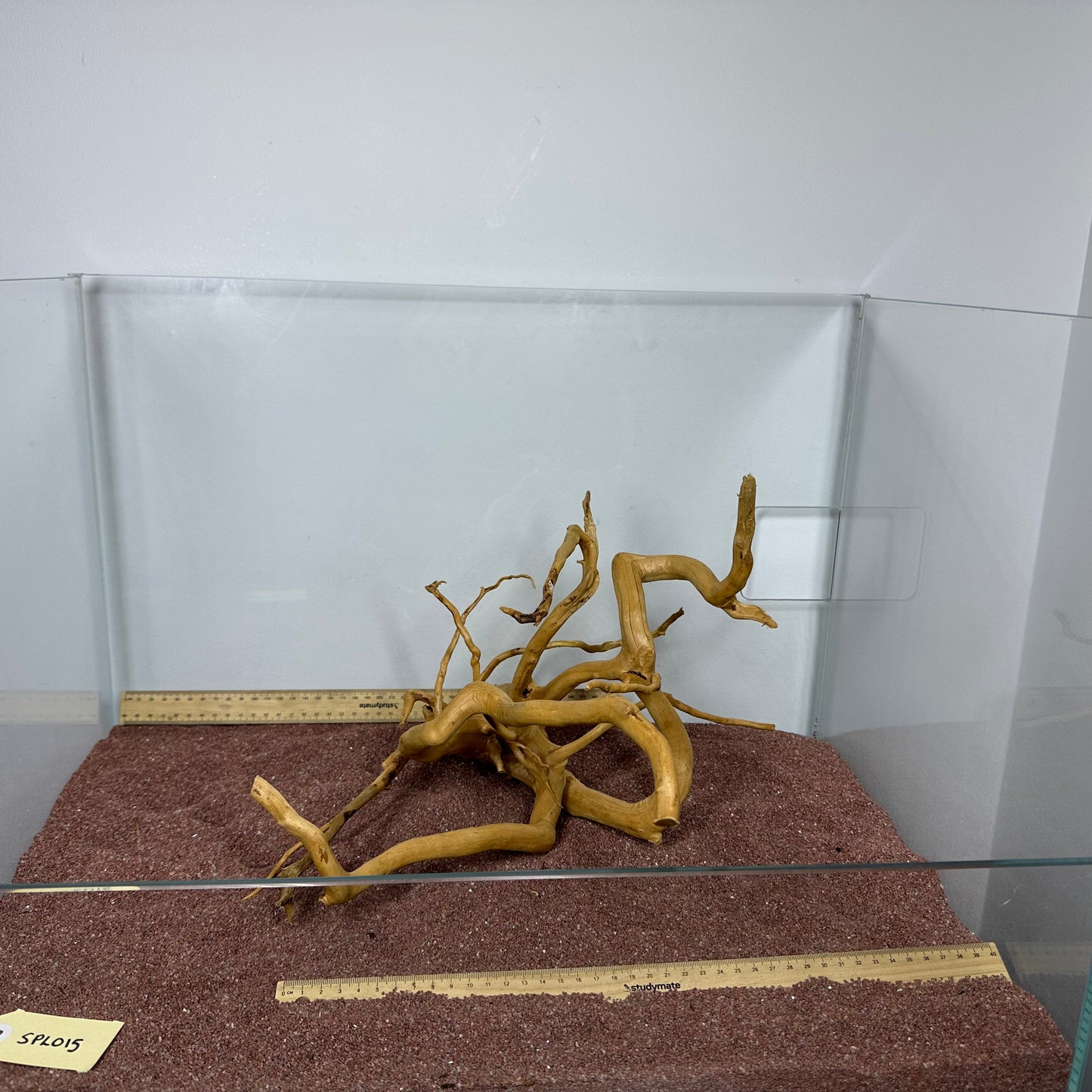 Spiderwood (Large)