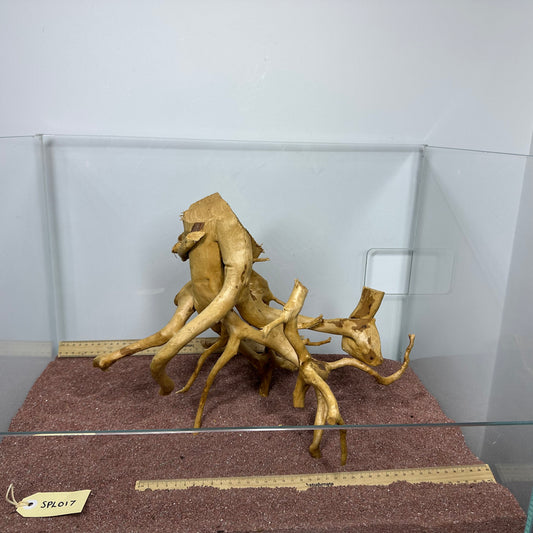 Spiderwood (Large)
