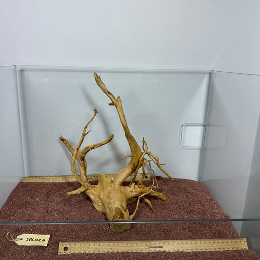 Spiderwood (Large)